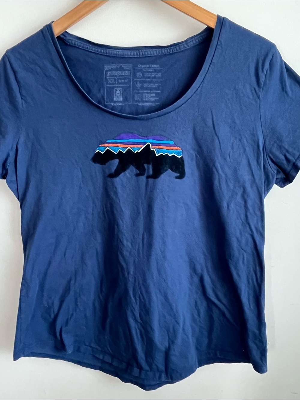 Patagonia Scoop Neck T-shirt